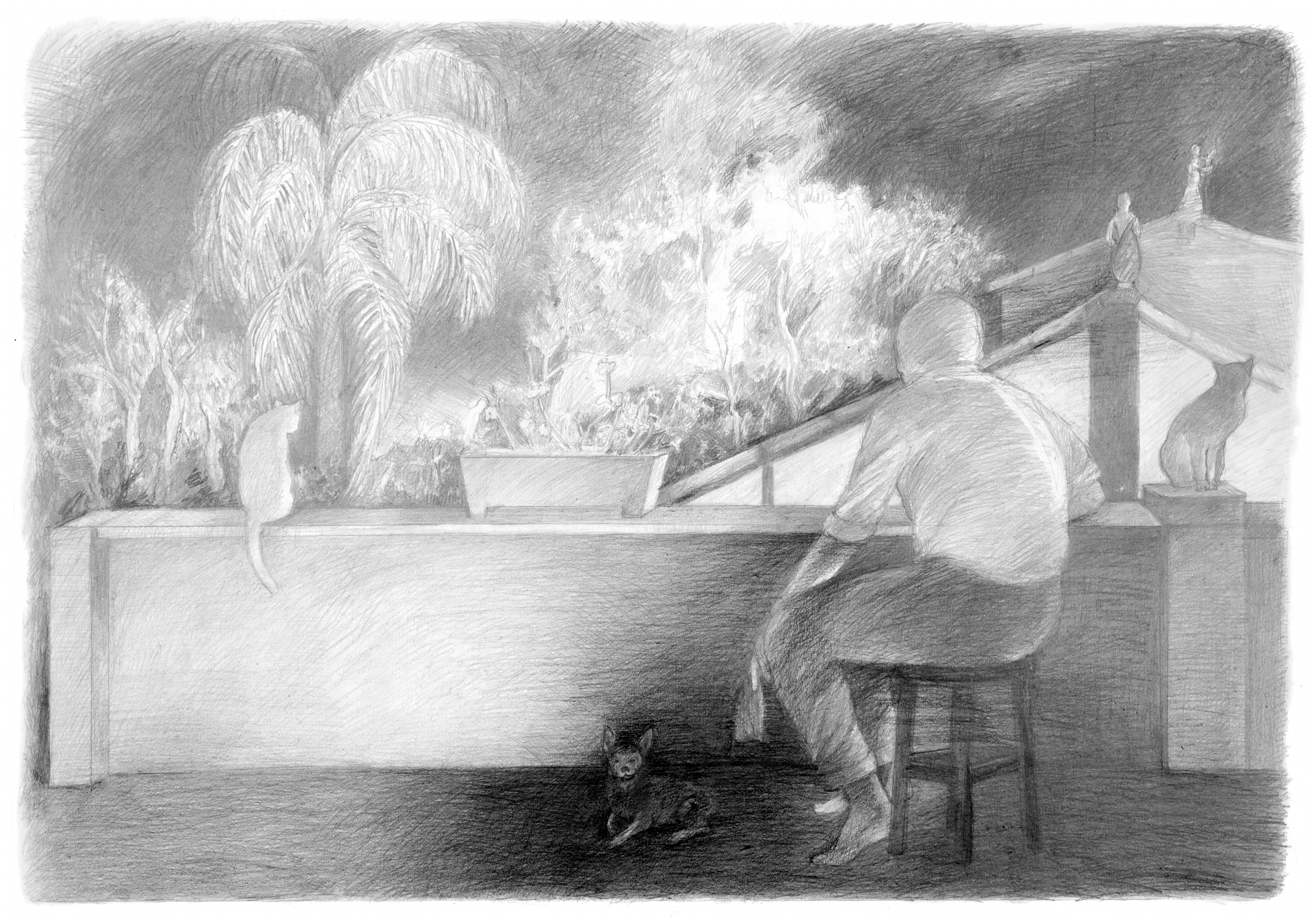 desenho_12