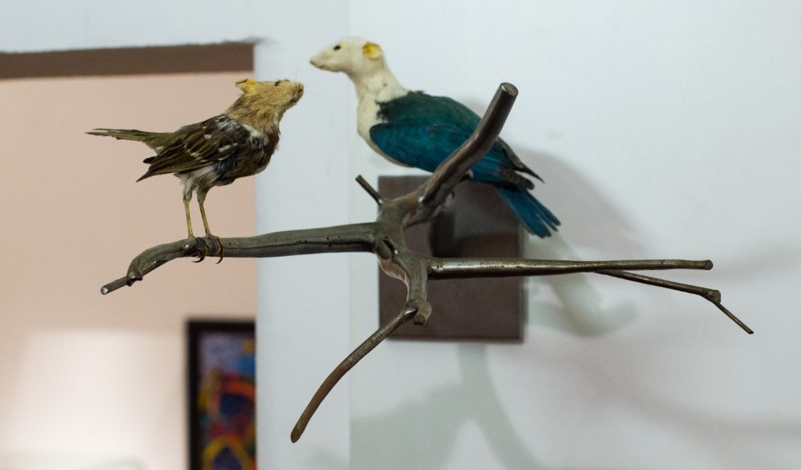 Galho, Walmor Corrêa, 2007. Aço e pássaros e ratos taxidermizados, escala natural.