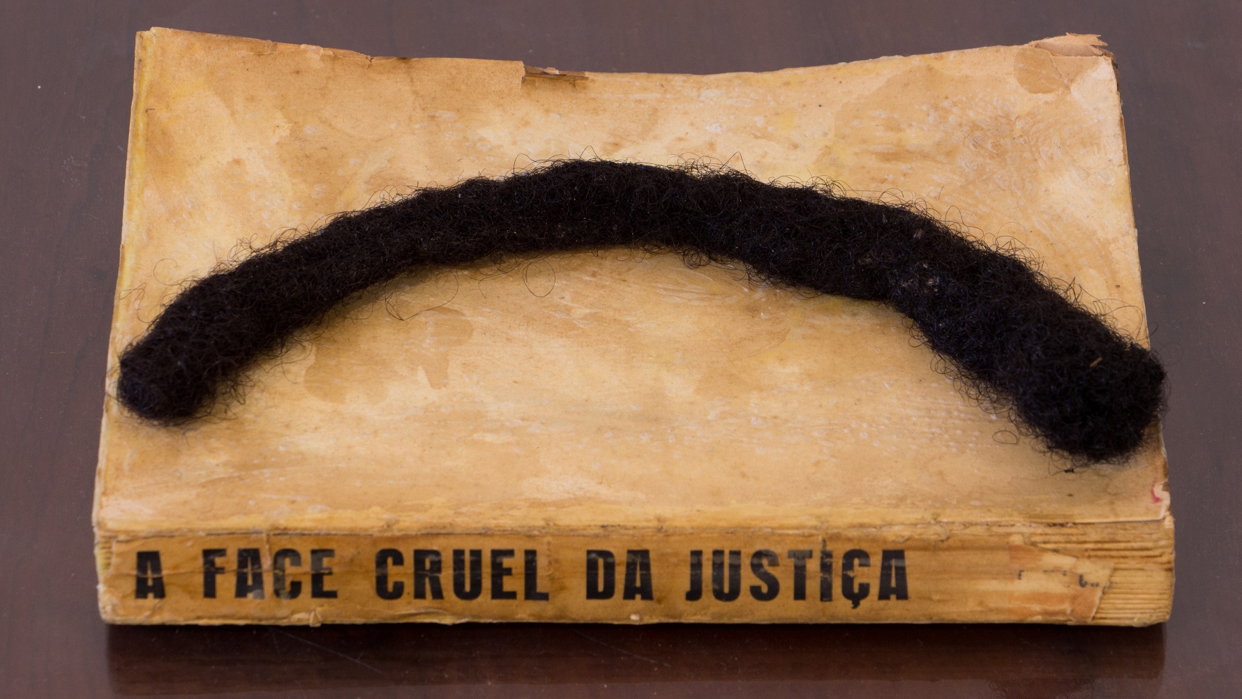 A face cruel da justiça, 2019. Objeto, livro colado com trança de cabelo negro, 21x15x3,5cm.