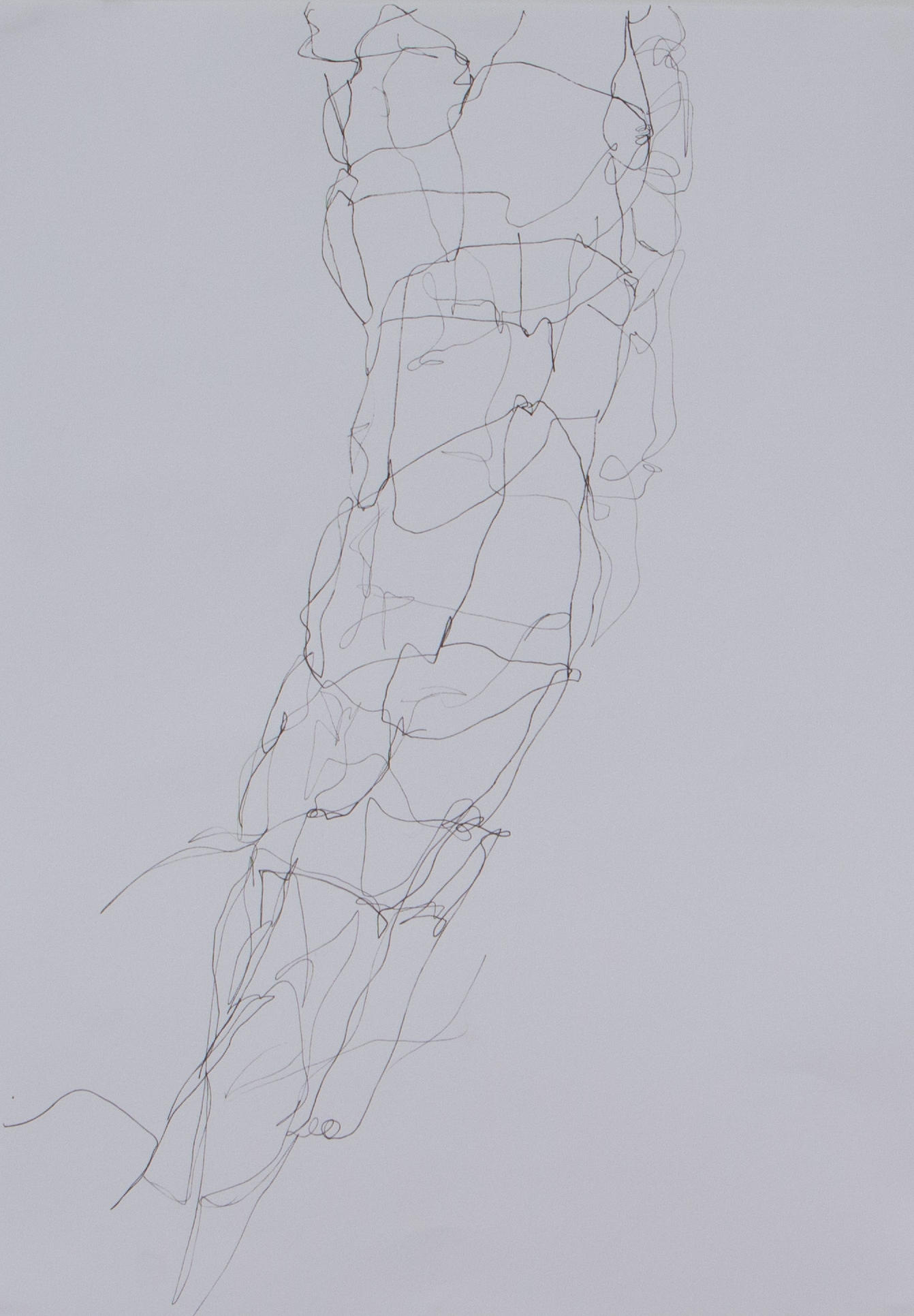 Corpolinha sombra, Anna Moraes, 2019. Desenho, caneta nanquim sobre papel, 29x42cm cada.