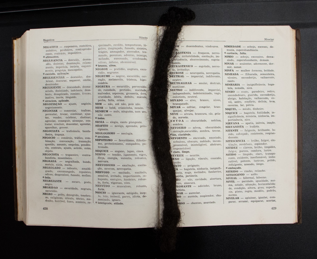 Dicionário Brasileiro da Língua Portuguesa - Negro, 2019. Objeto, livro com trança de cabelo negro, 31x23x3cm.