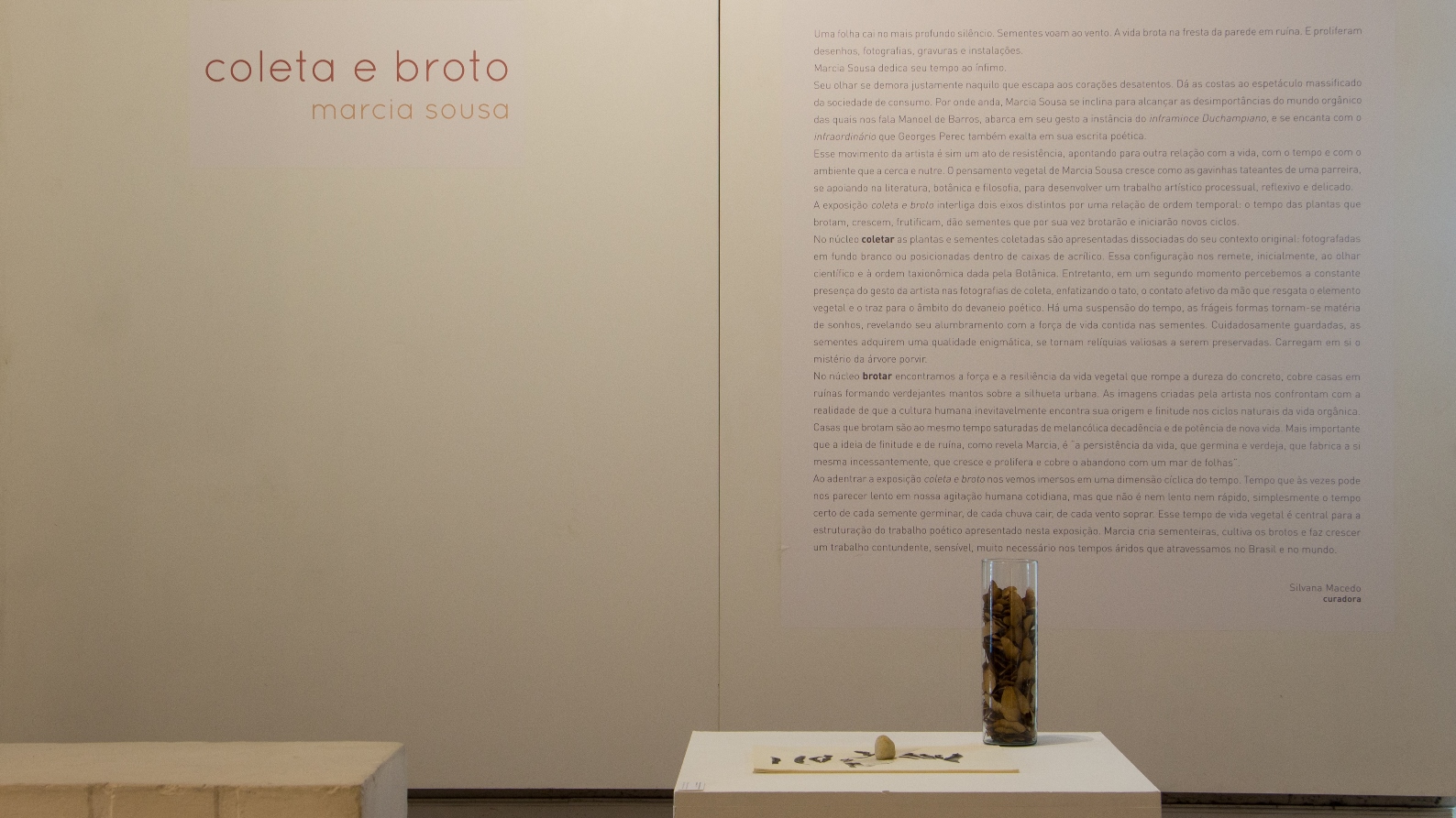 Exposição Coleta e Broto, de Marcia Sousa.