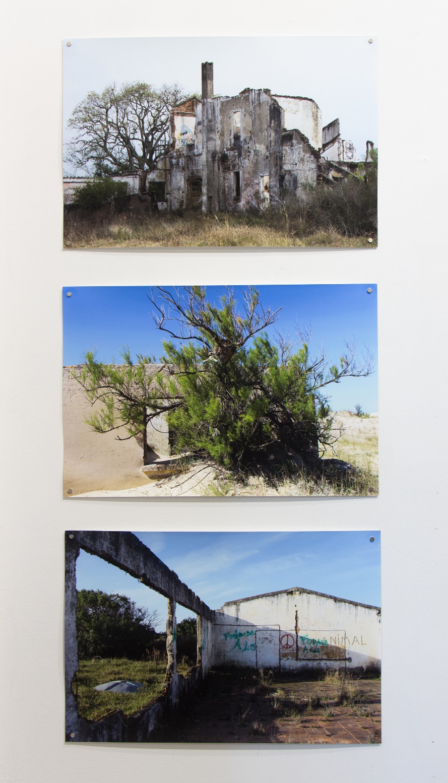 Paisagem horizonte (pedra semente), 2019. Fotografias em papel matte, dimensões variadas.