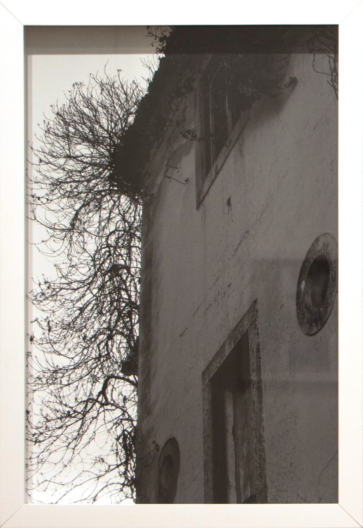 coleção-arquivo de casas que brotam, 2014-2016. Fotografia em preto e branco, 29x43,5cm.