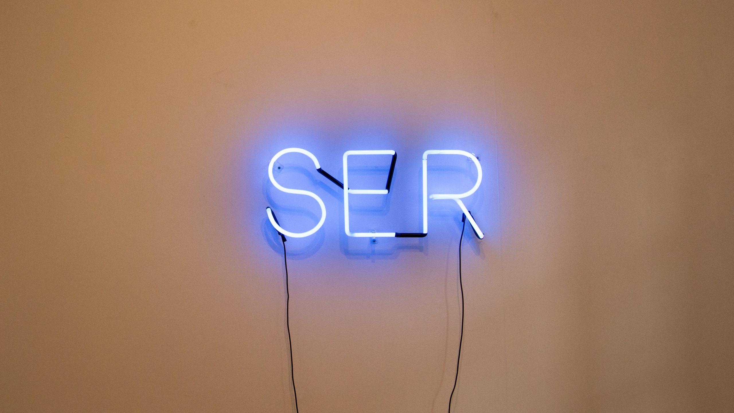 Ser, série E-n-f-r-e-n-t-a-m-e-n-t-o, 2019. Objeto em luz neon, 100x50cm.