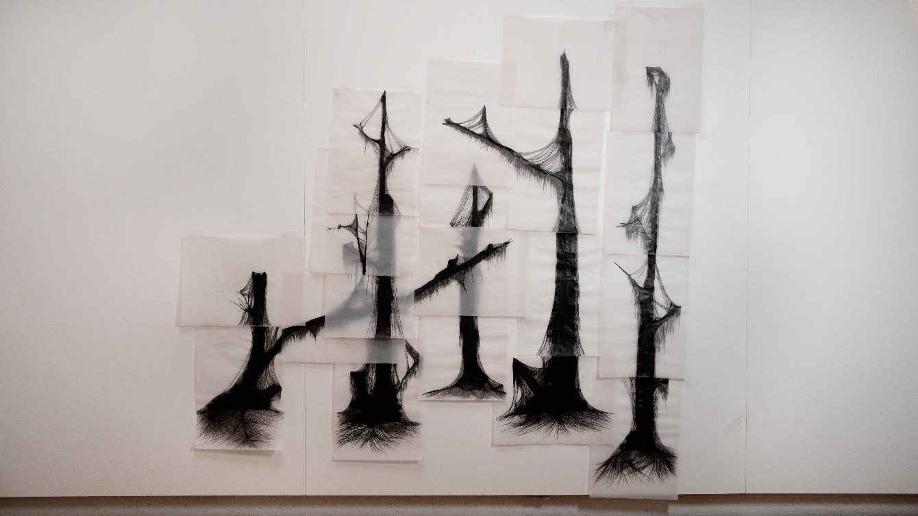 Algas filamentosas sobre restinga, Edson Macalini, 2020. Desenho a base de tinta nanquim, caneta nanquim sobre papel vegetal, 185x180cm.