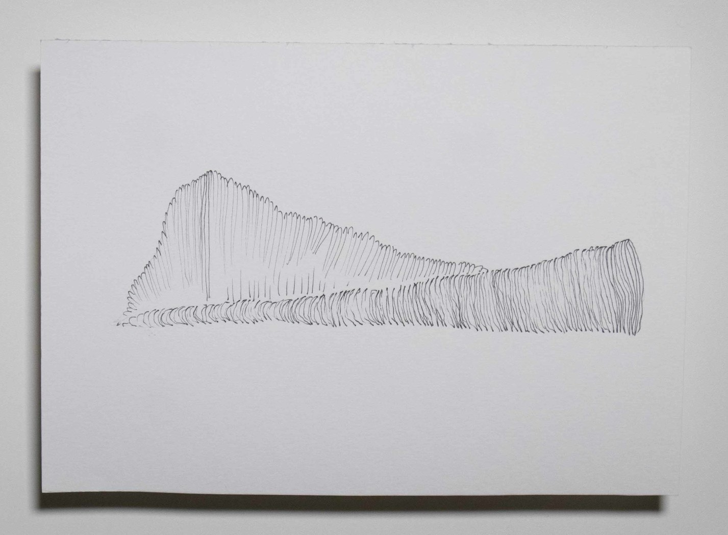 Série Catálogo de paisagens da janela do meu quarto, Anna Moraes, 2020. Desenho, caneta sobre papel 300g, 20x15cm. 