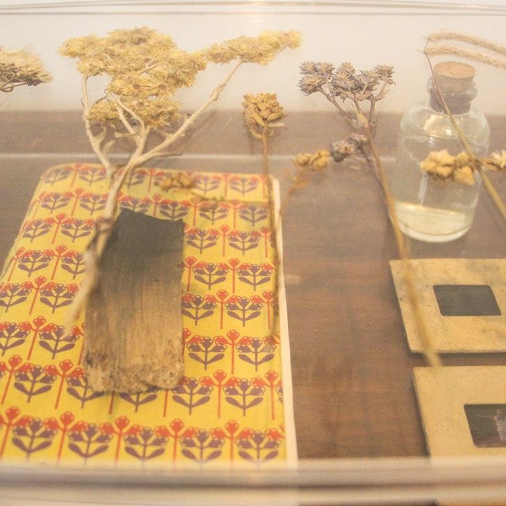 Vestígios (detalhe), 2014-2016. Caixa de acrílico com caderno, frascos de vidro, pau-santo, slides e pedra ametista, em aparador de madeira antigo.