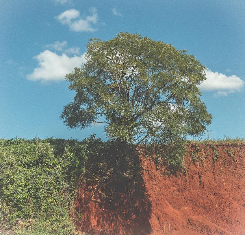 Sem título, 2017. Tríptico, fotografia digital impressa em papel Photo Matt Fibre, 30x30cm cada.