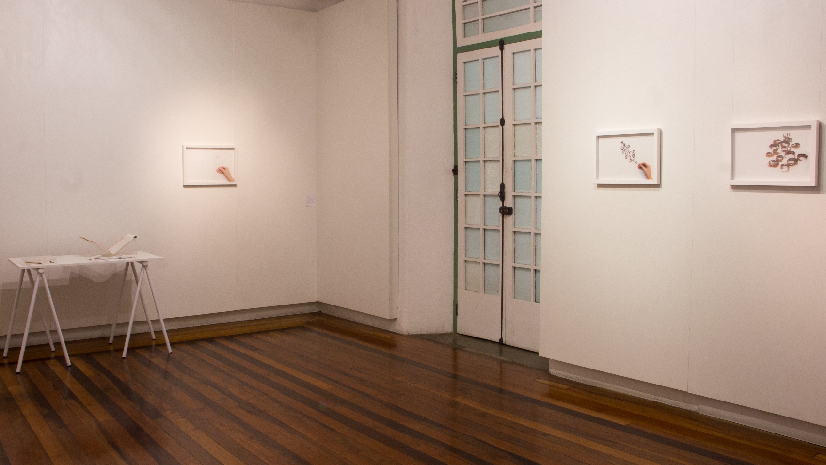 Exposição Coleta e Broto, de Marcia Sousa.