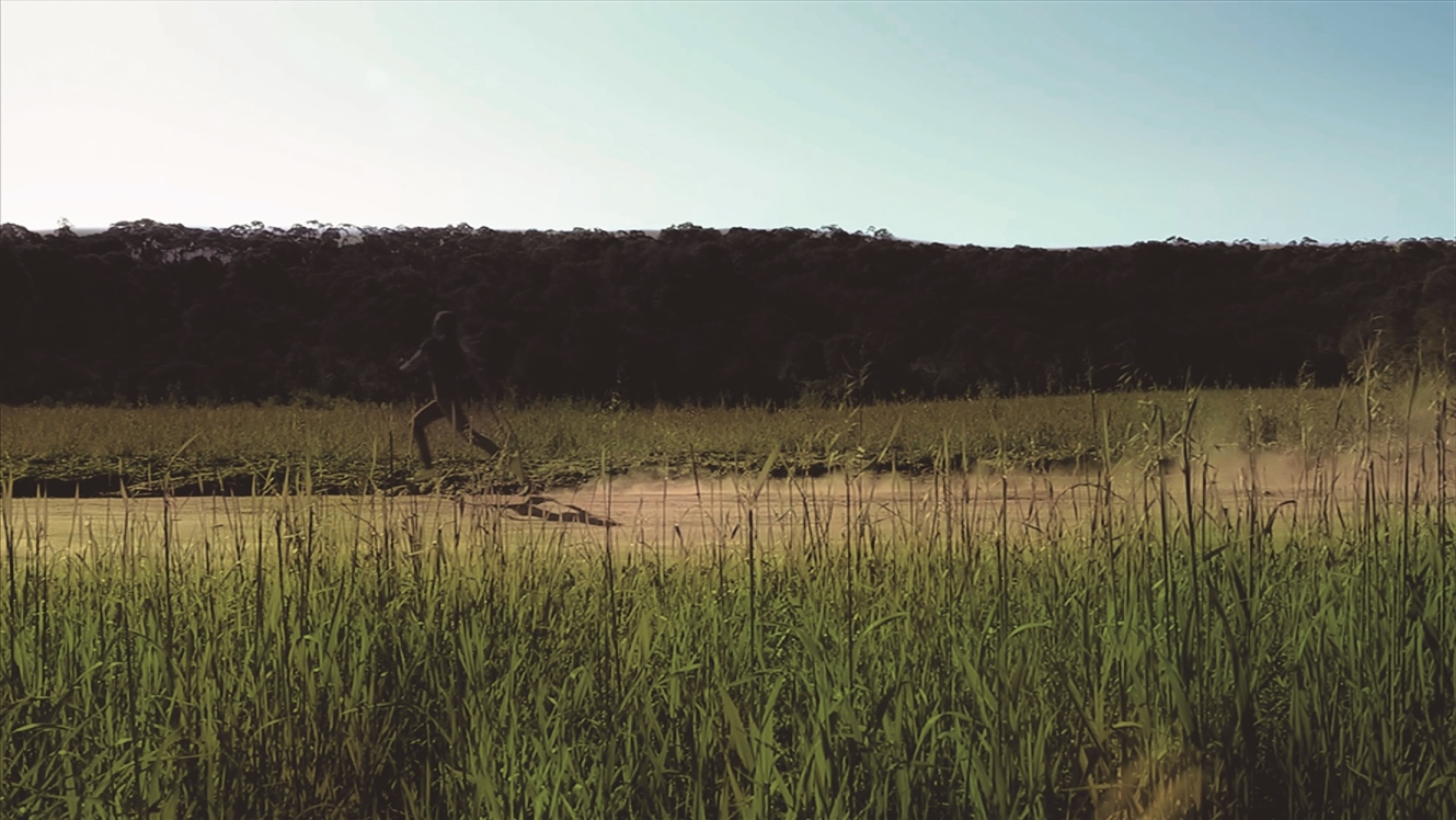 Ensaio sobre a poeira II, Fabíola Scaranto, 2014. Vídeo, 45"(frame).