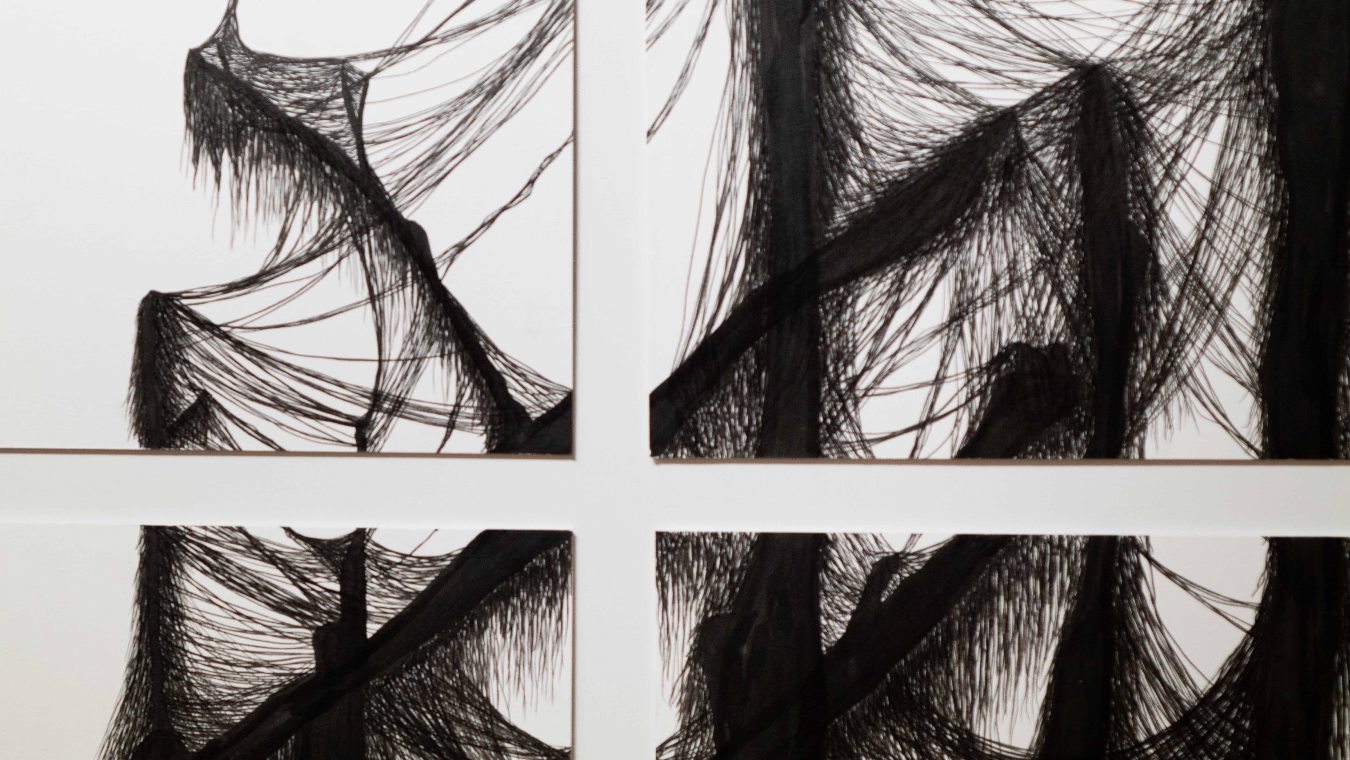 Algas filamentosas sobre restinga (detalhe), Edson Macalini, 2020. Desenho com caneta nanquim sobre papel canson, 135x164cm.