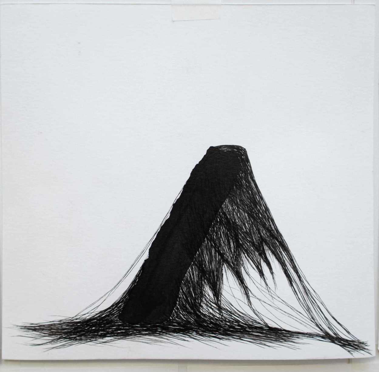 Algas filamentosas sobre restinga, Edson Macalini, 2020. Desenho a base de tinta nanquim e caneta nanquim sobre papel canson, 20x20cm.